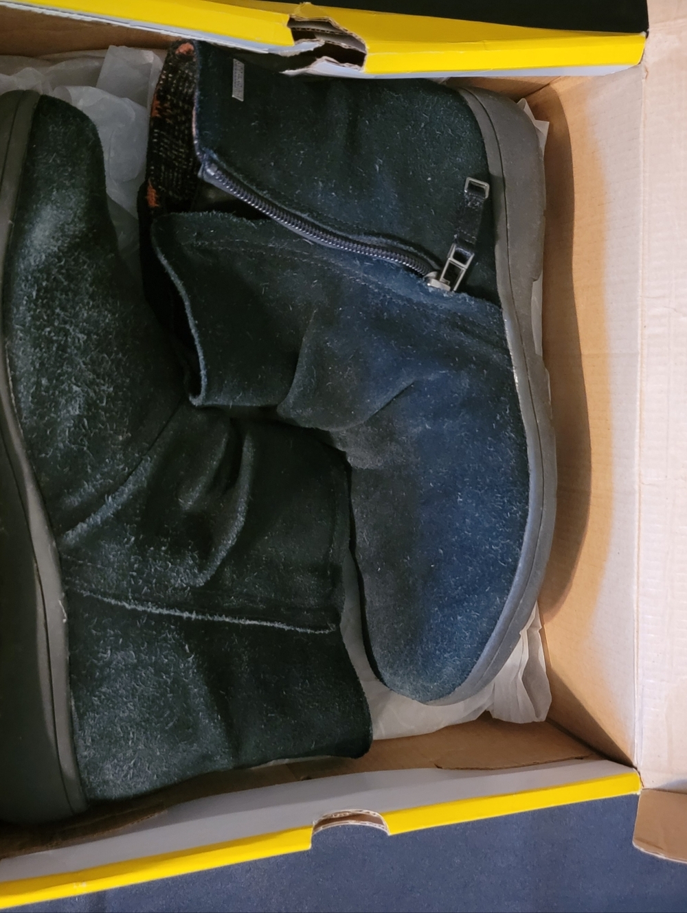 Women's Cooper Black Suede Zip-Up Ankle Boots